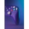 Retro Fighters Manette Sans fil 2.4G BattlerGC Violet - Gamecube, Game Boy Player, Nintendo Switch et PC Windows