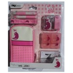 Accessoires pour DSLite / DSi Chat Rose. Sacoche, stylet, protection écran.